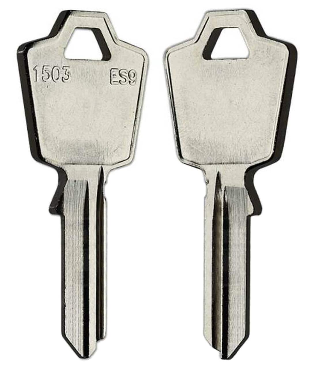 1503/ES9 LockGenics 10/Pack