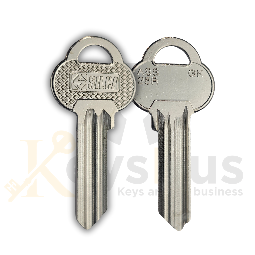 ASS25R-SI/AS29GK 10-Pack Key Blanks